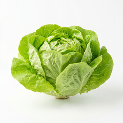 Obraz premium Fresh Butterhead Lettuce Head Isolated on White Background