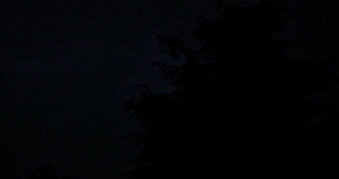 Dark Tree Silhouettes Stand Against the Rainy Night Sky During a Thunderstorm in Bassano del Grappa, Italy - Low Angle Shot