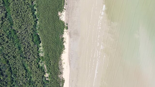 Aerial view captures lush forest meeting sandy beach. Waves gently roll ashore in rhythmic patterns