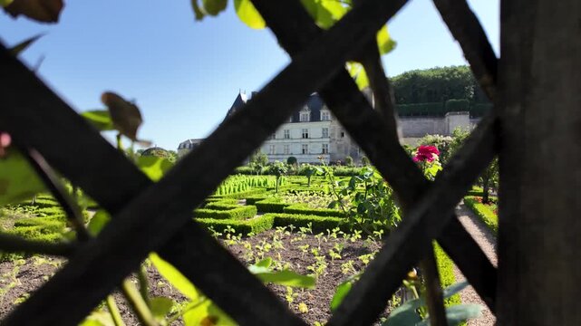 Slow motion pullback through a wooden vine trellis, revealing the formal gardens and Chateau de Villandry in the Loire Valley, France