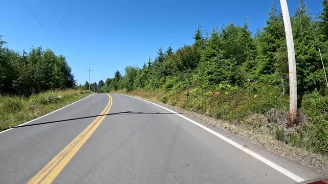 4K smooth action camera driving footage from a hood mounted driver's POV along a countryside road in Oregon, USA as a deer jumps from the roadway into roadside bushes
