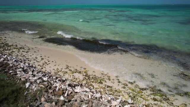 Aerial Dolly Out of Tropical Island in Los Roques with Queen Conch Shell Piles, Venezuela