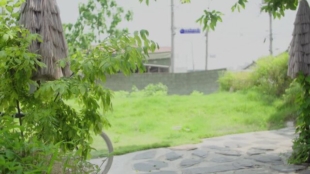 정원1(조경+잔디+빛+낮+태양+햇빛+풀+마당)