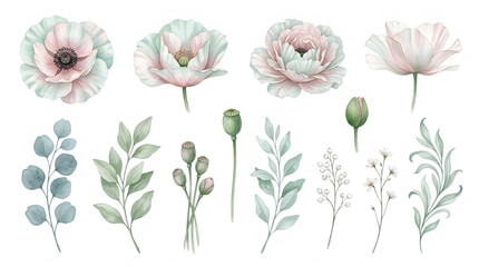 Obraz premium Watercolor illustration of blooming peony flowers and buds in botanical style