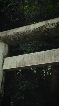 Close-up vertical panning shot of an old mossy stone Torii gate in a dark and moody Japanese forest