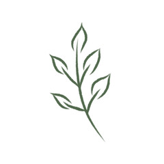 Fototapeta premium Hand drawn dark green leaf branch crayon doodle isolated vector illustration. Cute chalk textured sprig foliage outline shape for botanical design, eco friendly emblem, and organic print template.