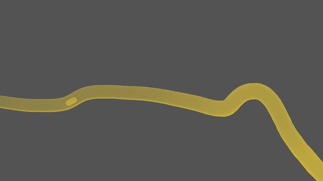 Inside a yellow transparent plant, worm, algae, or biological tunnel, a yellow circle or grain, or core, or egg, or something else moves.