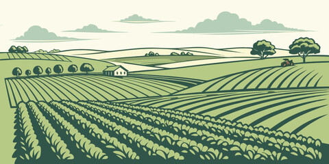 Aerial view of green agricultural farmland with parallel crop rows and rural landscape agriculture green crops © Gf
