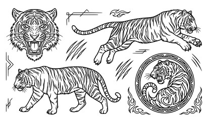 Hand Drawn Tiger Illustration Collection Featuring Walking Resting Jumping and Wildlife Sketch Vector Elements © Kolpona