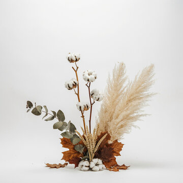 Minimalist autumn floral arrangement with cotton bolls and pampas grass, dried eucalyptus and maple leaves on white background, boho fall decor