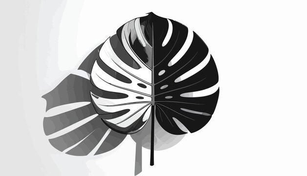 Monstera leaf with white spots pattern.
