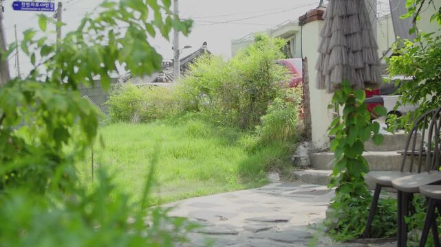 정원2(조경+잔디+빛+낮+태양+햇빛+풀+마당)