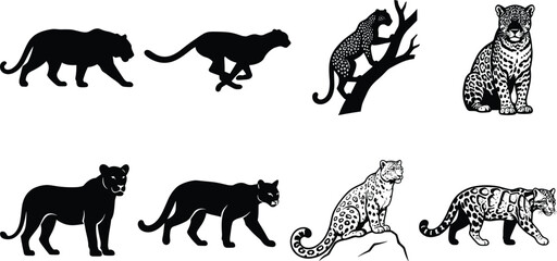 Collection of various wild big cat silhouettes including leopards, cheetahs, and panthers in vector style © MdHasmot