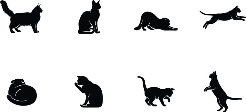 Domestic Cat Silhouettes Set in Various Poses Including Standing Sitting Jumping and Stretching on White Background