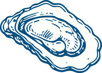 Stylized illustration of an open oyster with detailed interior lines and a blue outline © Ophelia