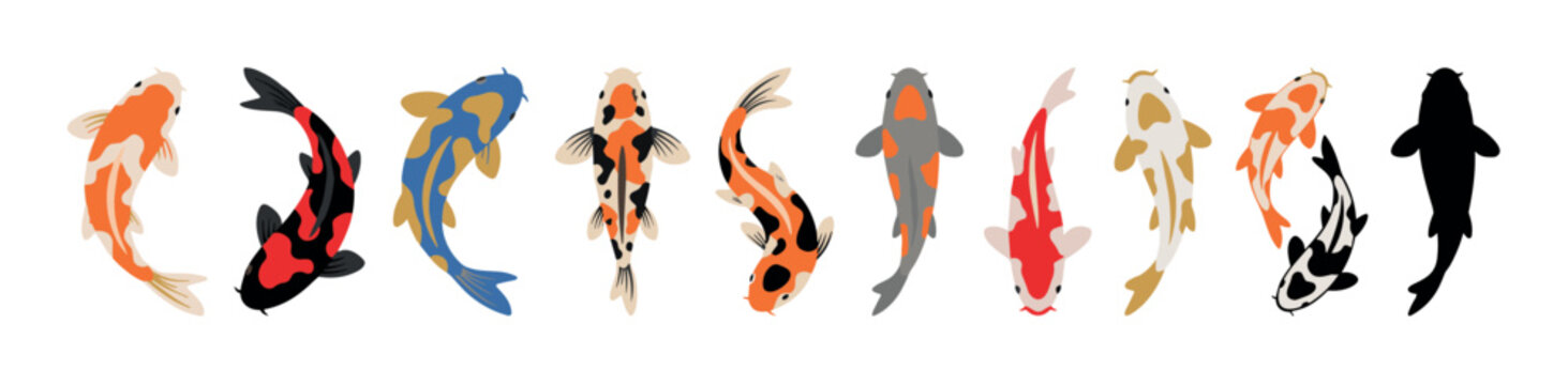 Ten colorful Koi fish swimming gracefully, displaying diverse patterns and vibrant colors, symbolizing prosperity and good fortune.