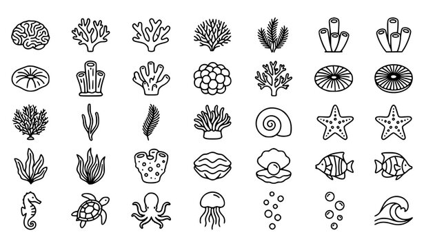 Marine Life Collection Featuring Coral Jellyfish Shell Fish Starfish and Ocean Elements Vector Illustration
