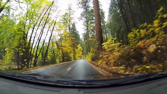 Dashboard camera view driving through yosemite valley during autumn season on wet forest road.