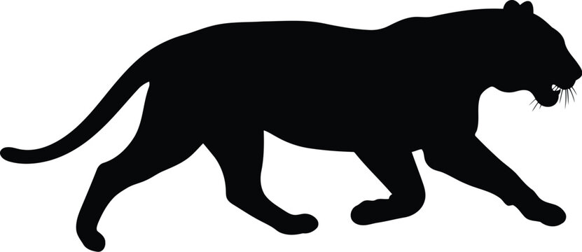 Black silhouette of a large tiger walking forward showing a powerful and athletic body shape in a simple graphic illustration style for wildlife design concepts