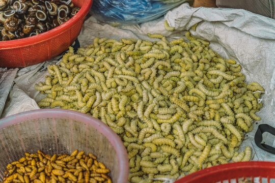 Silkworm pupae and snails for sale at a local roadside market, Vietnam