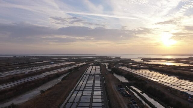 Low Aerial Drone Shot Along Salt Marsh Channels at Sunrise, Ars-en-R&eacute;, &Icirc;le de R&eacute;, France