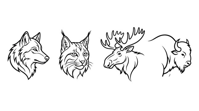 Vector illustration set featuring stylized wolf, lynx, moose, and bison head outlines. Clean black line art on a simple background for nature logos, branding, and outdoor designs.