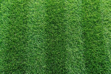 Obraz premium Green grass lawn texture background in natural daylight