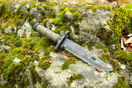 Hunting knife in the forest.