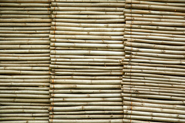 Obraz premium Natural wooden texture or background.