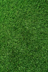 Obraz premium Green grass texture background with even lawn pattern