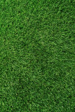 Green grass texture background with even lawn pattern