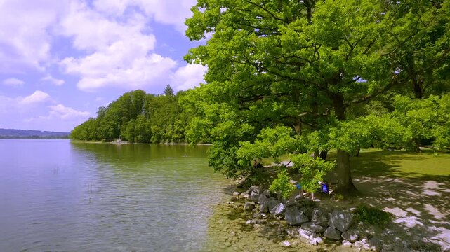 Blick auf das Ufer am Kochelsee, Alpenvorland, Blaues Land, Kochel, Oberbayern, Bayern, Deutschland
