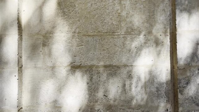 Soft tree shadows drift across a weathered limestone wall. Ideal for architecture, heritage, editorial, interior design, branding and abstract texture backgrounds.