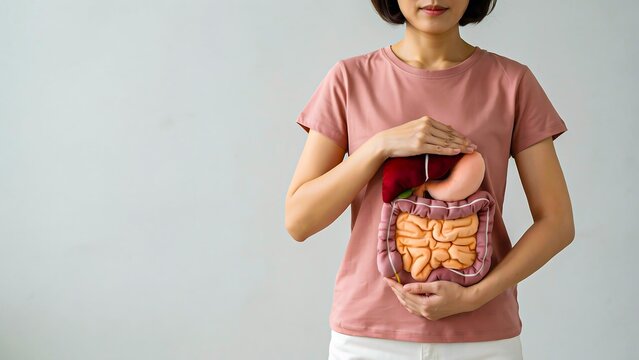Woman holding digestive system model for gut health and human anatomy education
