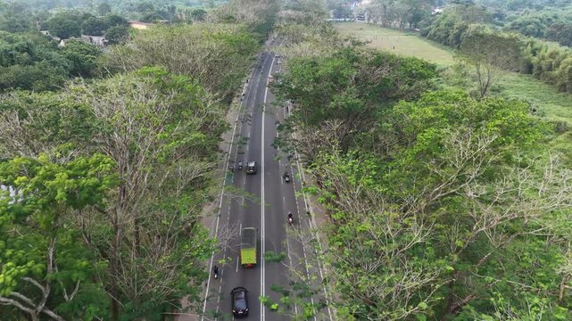 Aerial View of Tropical Highway with Lush Green Rain Trees