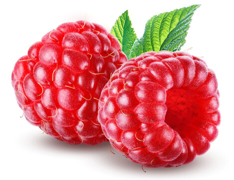 Pair of juicy ripe raspberries with leaves isolated on transparent background.