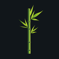 Fototapeta premium Green bamboo plant branch with leaves on dark background