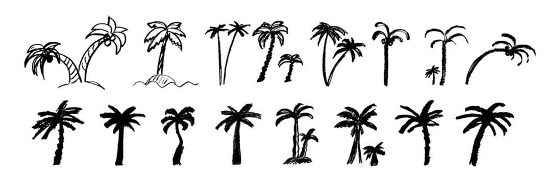 Palm tree sketch icon, coconut palm doodle illustration