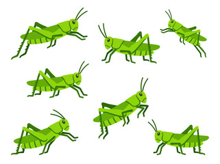 Fototapeta premium A collection of green grasshoppers in various poses on a white background.