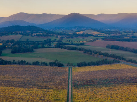 Aerial view of soft twilight colours over farmland vineyards and a distant mountains