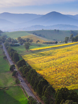 Aerial view of a country road winding around the base of a hillside vineyard with distant mountains