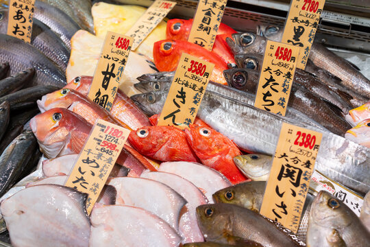 魚屋　市場　鮮魚売り場