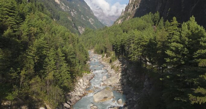 Annapurna Circuit Nepal, aerial glide shot of glacier fed white water rapids in the Marsyangdi River flowing through a mountain pine forest at an elevation of 3000m in Manang.