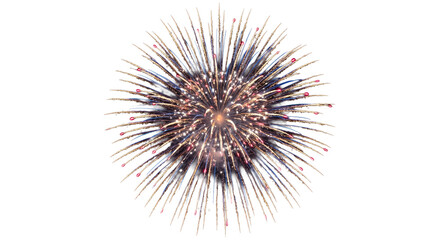Obraz premium Explosion of golden and blue fireworks illuminating the night sky with bright sparks
