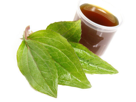 Food and Health - Echinachea Extract on white Background