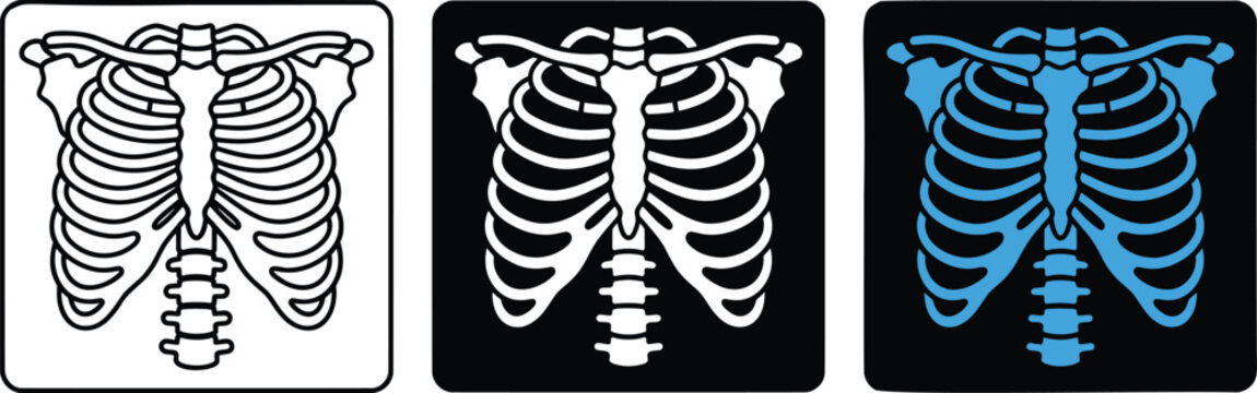 Human rib cage vector icons set, anatomical chest bone structure illustrations, medical skeletal thorax diagrams in black and blue eps format