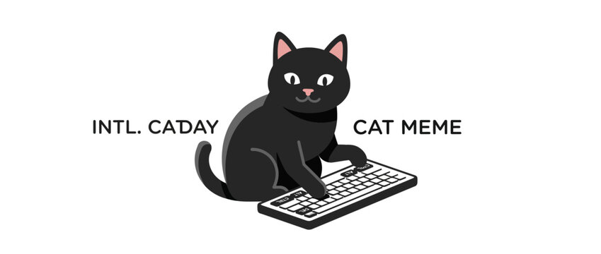 Black cat typing on keyboard, funny meme illustration, internet culture, digital communication