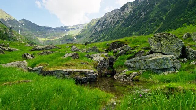 Rocky Alpine Meadow in Romania Fagaras Mountains