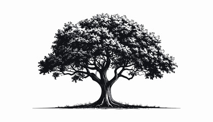 Fototapeta premium Large Tree with Thick Trunk Branches.