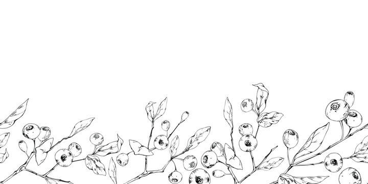 Seamless botanical banner of berry-bearing branches. Huckleberries, bilberries, blueberries and whortleberries, detailed foliage, natural woodland character. Isolated art hand drawn in vector ink.